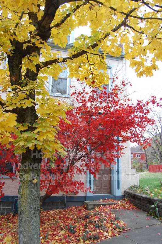 1439 Sandusky St - Photo 2 of 43