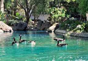 featured image of 1068 Summerplace Dr