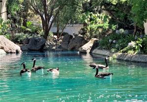 1068 Summerplace Dr - Photo 1 of 1