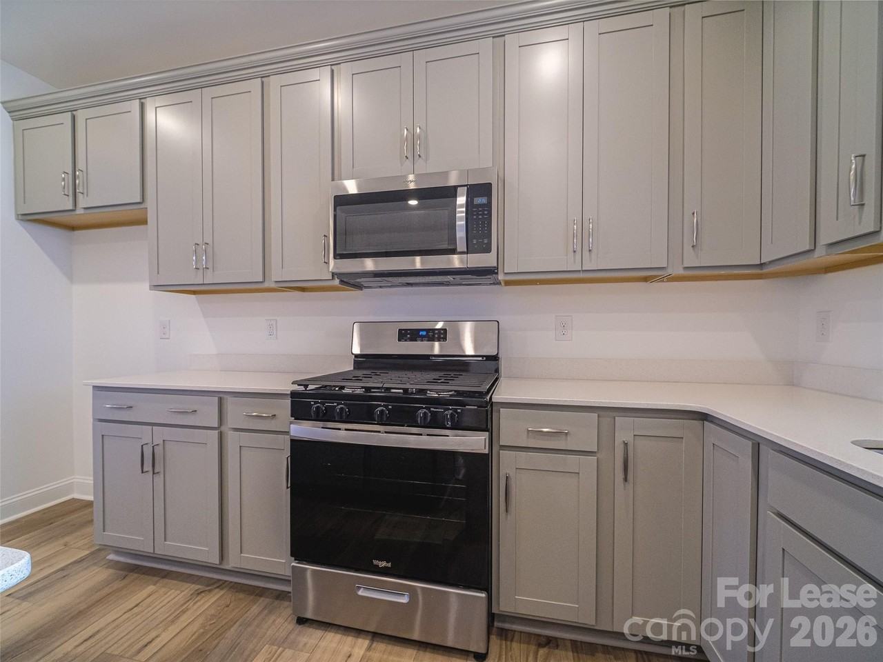 1535 Pebble Shore Ln - Photo 4 of 18