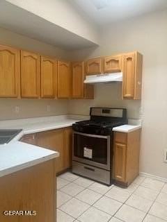 3425 Tierra Ruby Dr - Photo 5 of 13