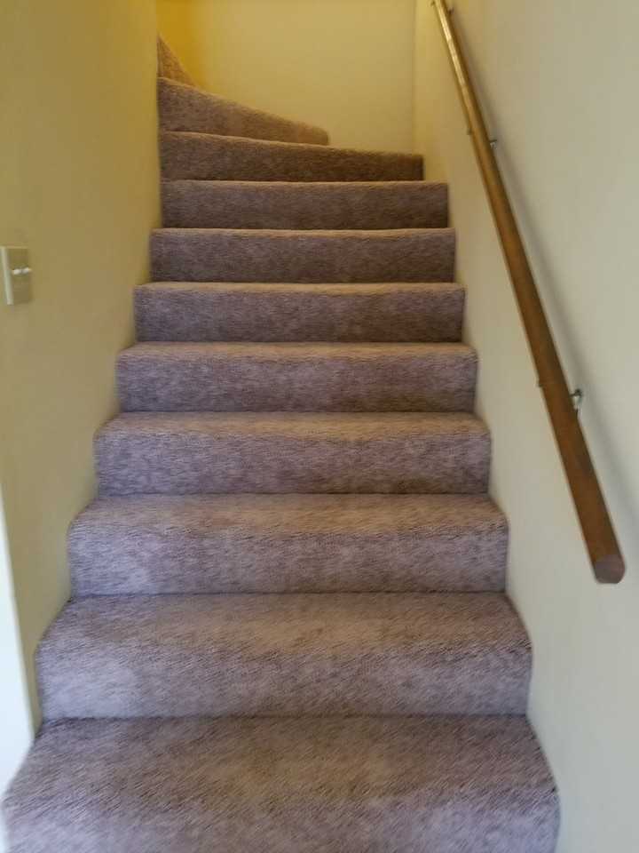 314 Elm St - Photo 4 of 15