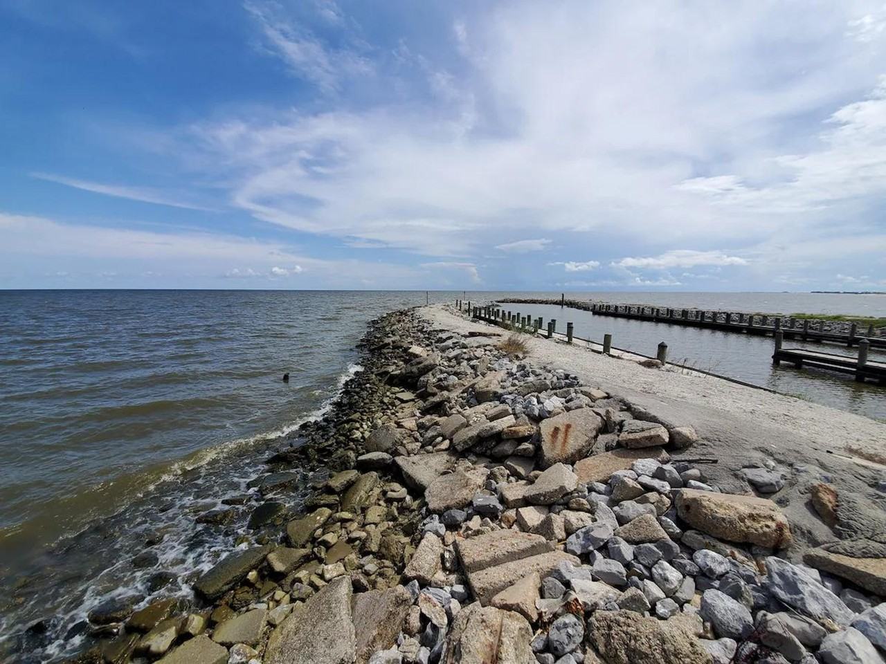 309 Julia St #1473640P - Photo 7 of 47