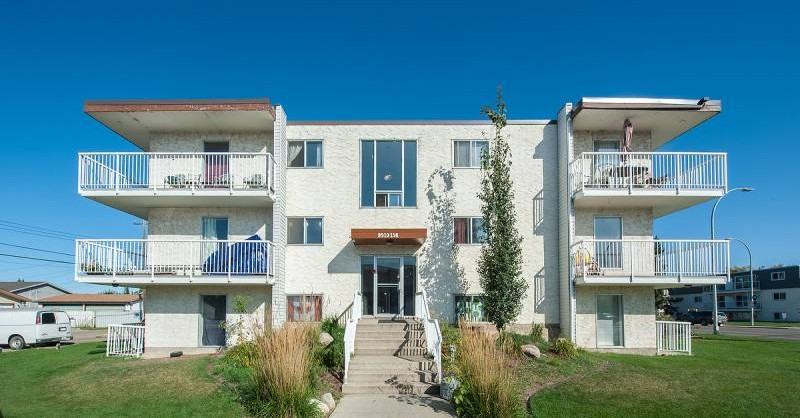 Orchid - Photo 2 of 16