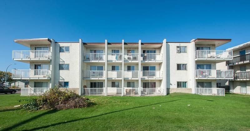 Orchid - Photo 3 of 16