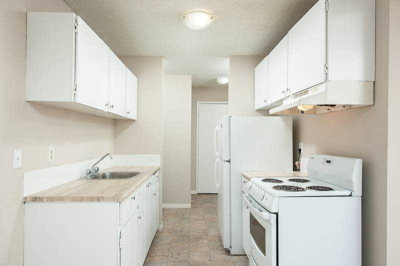 Orchid - Photo 4 of 16