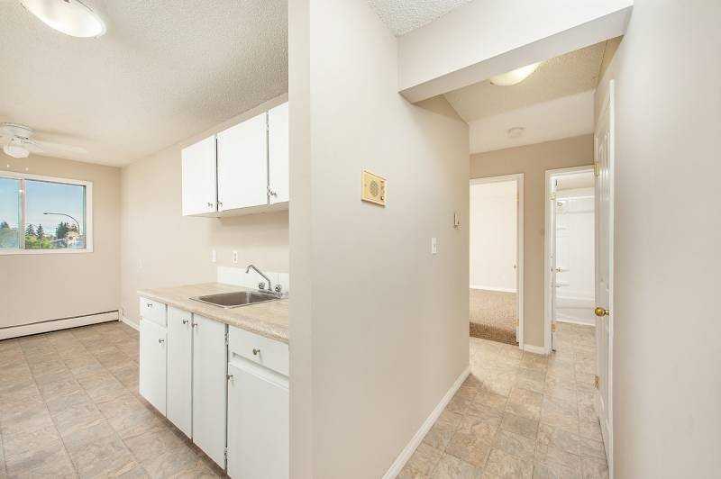 Orchid - Photo 5 of 16