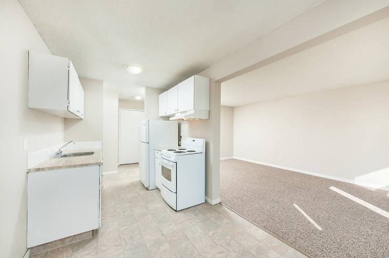 Orchid - Photo 6 of 16