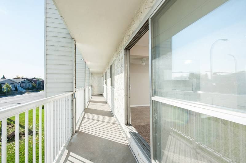 Orchid - Photo 7 of 16