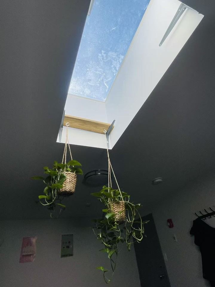 526 Dundas Street West #C2 - Photo 7 of 16