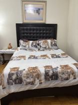 Dawes Rd & Goodwood Park Ct - Photo 1 of 1