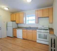 N Pine Grove Ave & W Irving Park Rd - Photo 1 of 1