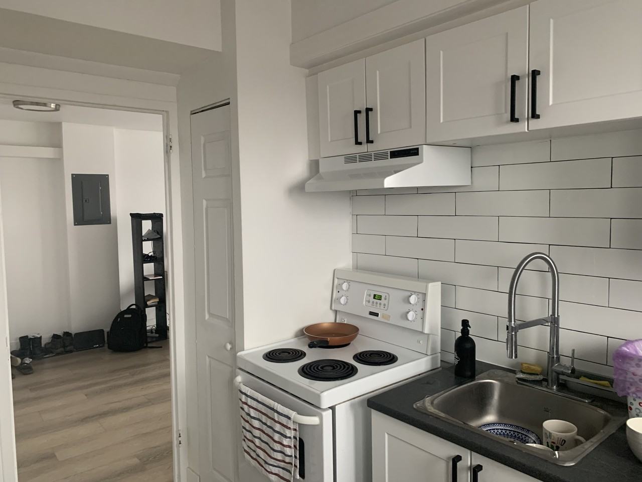 2665 Rue Frontenac #506 - Photo 4 of 9