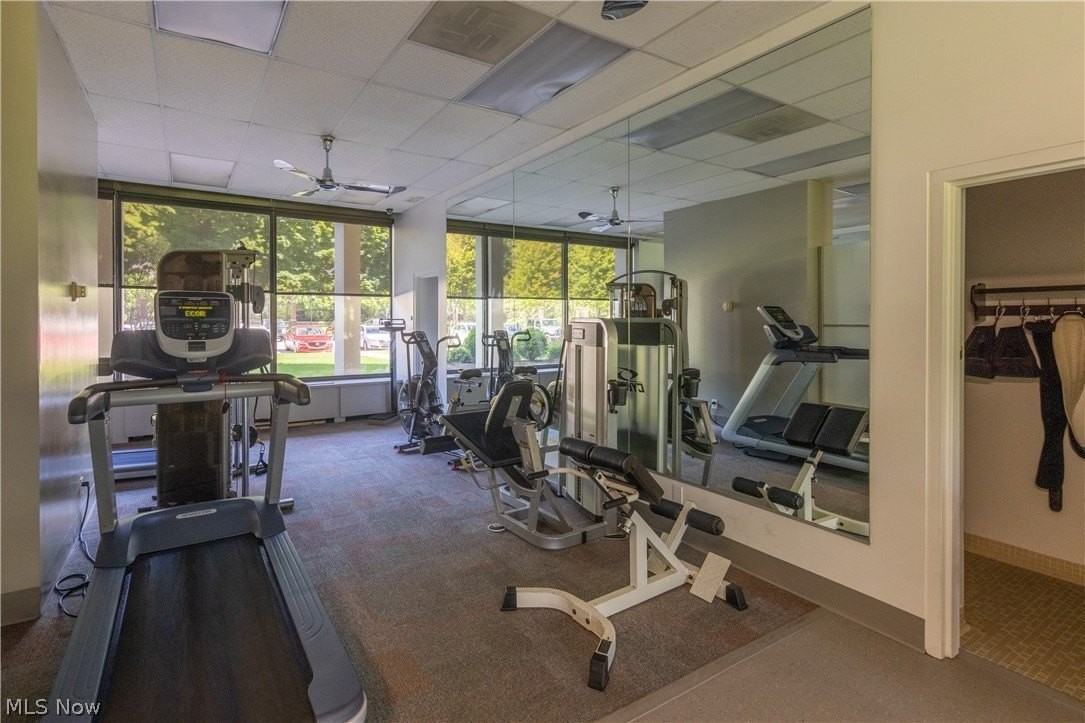 Lake Shore Blvd - Photo 3 of 44