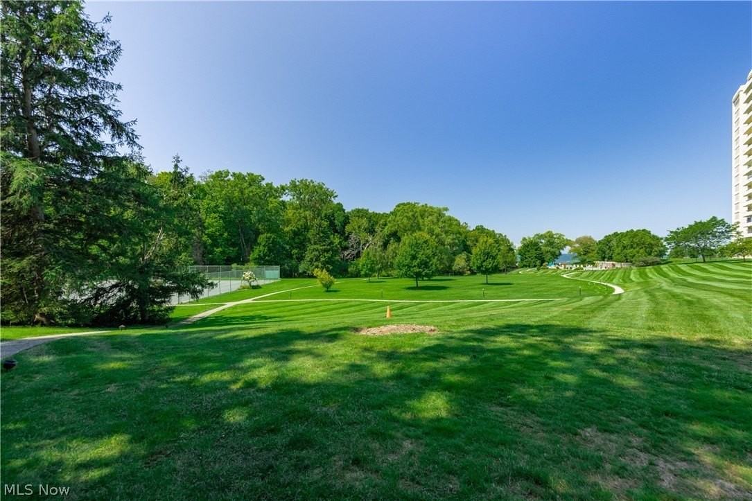 Lake Shore Blvd - Photo 5 of 44