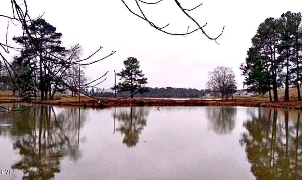 1114 Flyfish Ave - Photo 6 of 48