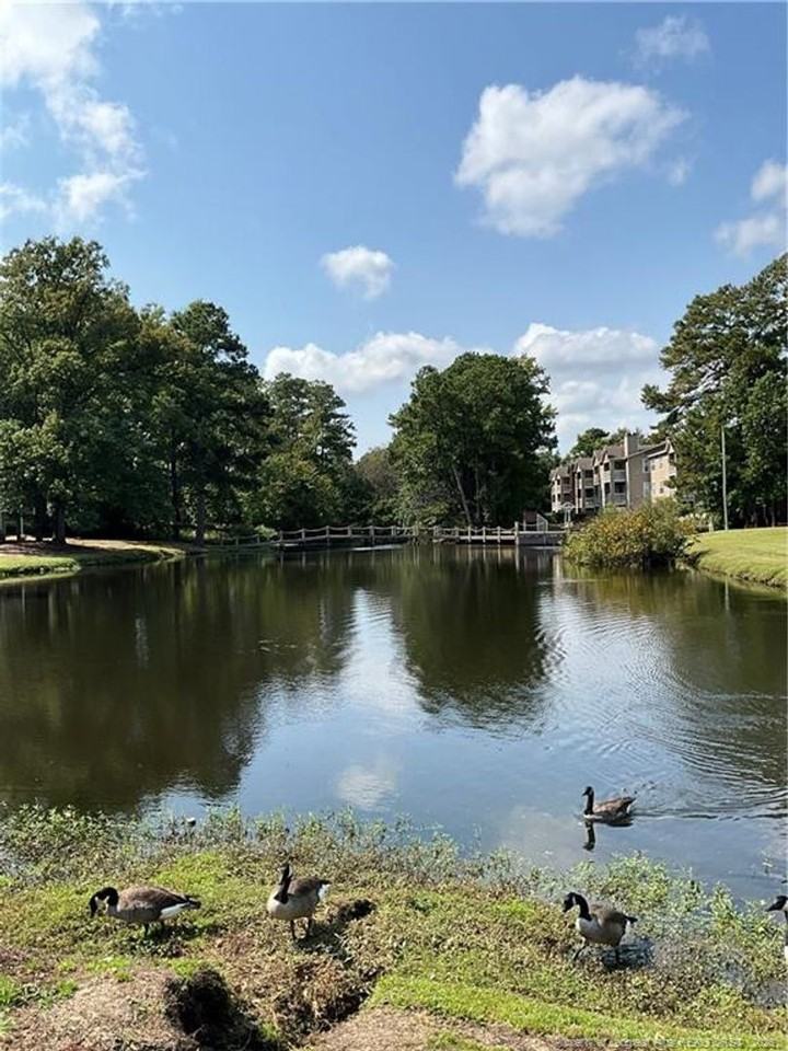 663 Bartons Landing Pl #14 - Photo 3 of 22