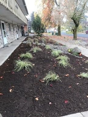 2528 21st Ave #6 - Photo 2 of 14