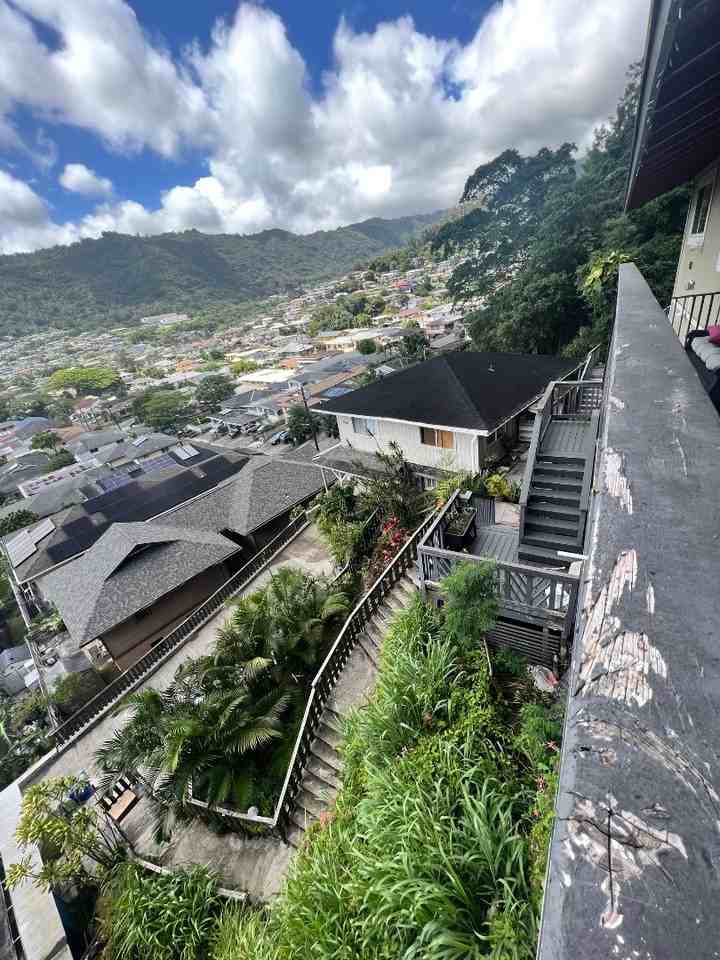 Monte - Photo 2 of 4