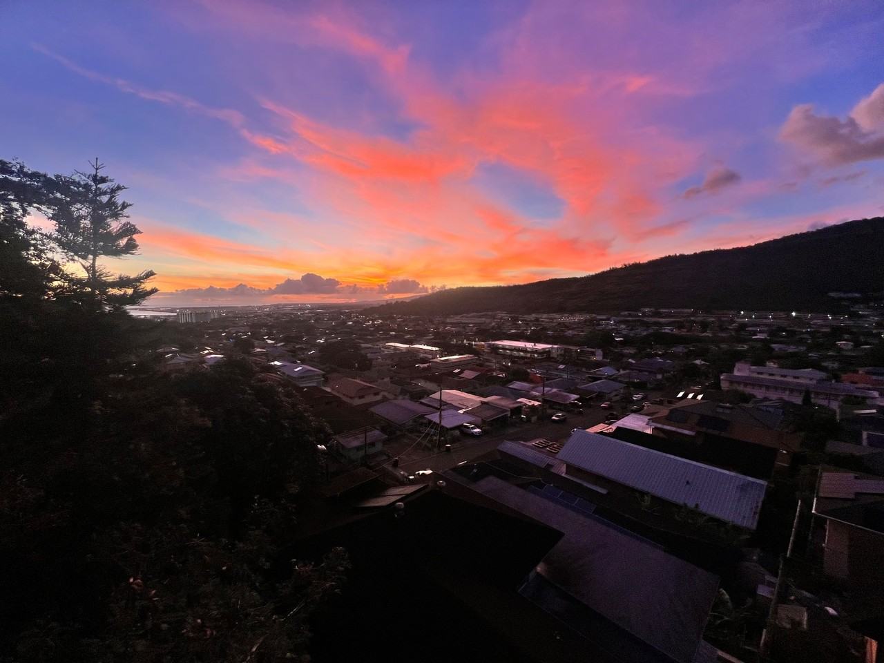 Monte - Photo 3 of 4