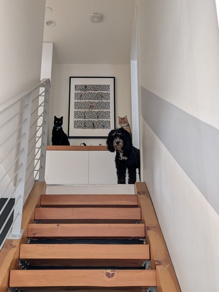 800 Chestnut Ave #NA - Photo 2 of 11