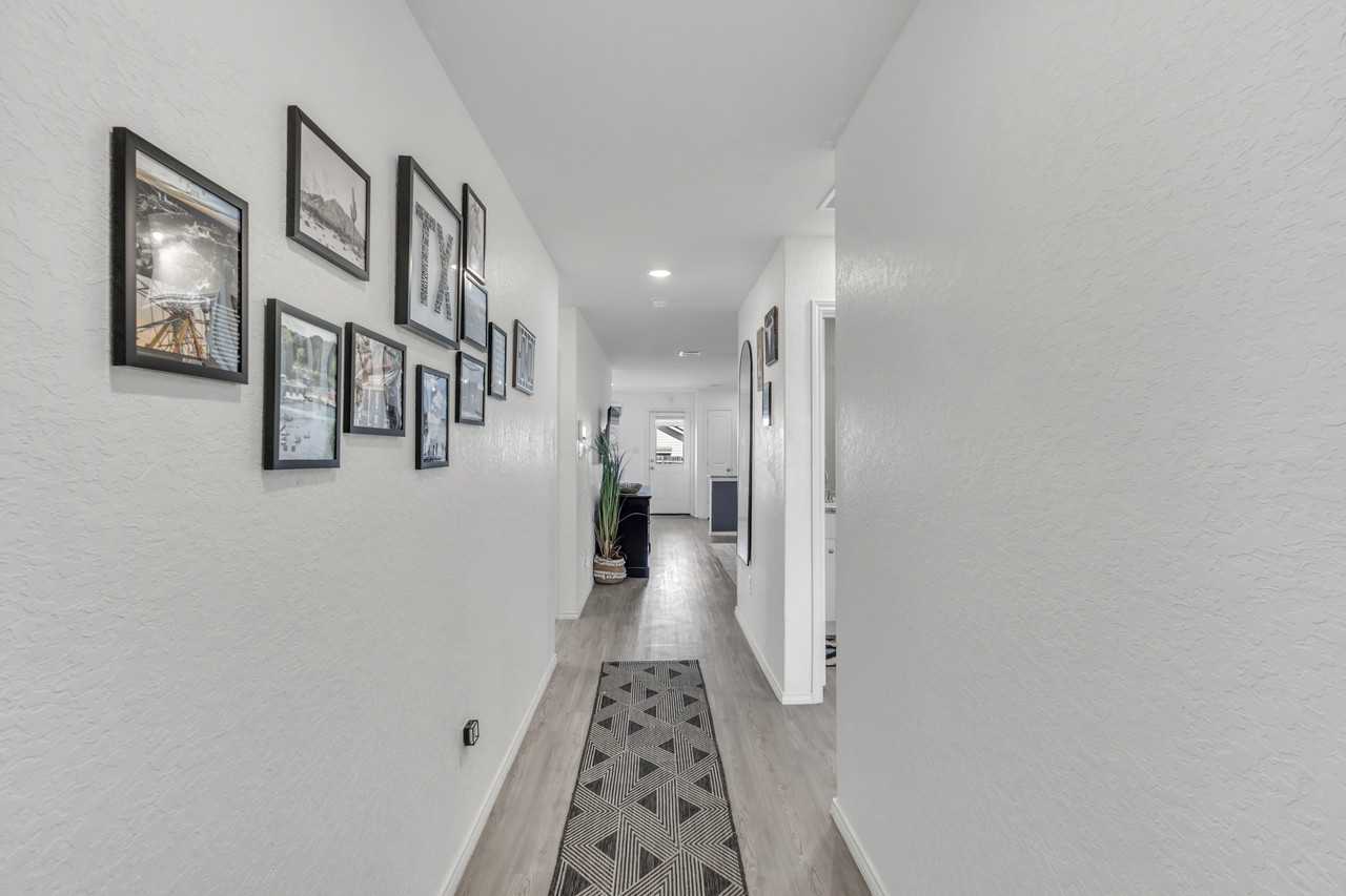 2915 Whinchat #NA - Photo 5 of 50