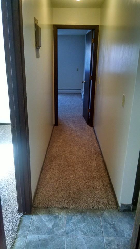 1160 Cannon Valley Pl #55 - Photo 5 of 9