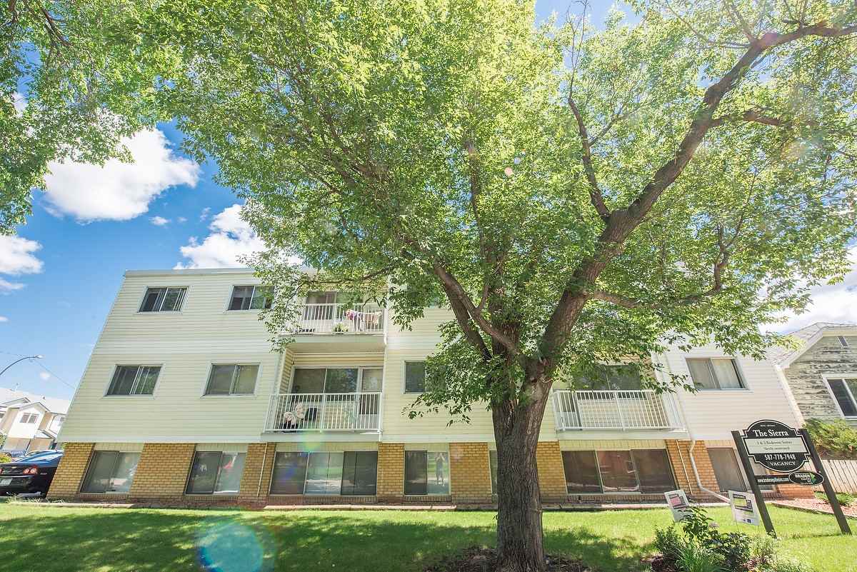 The Sierra - Photo 3 of 36