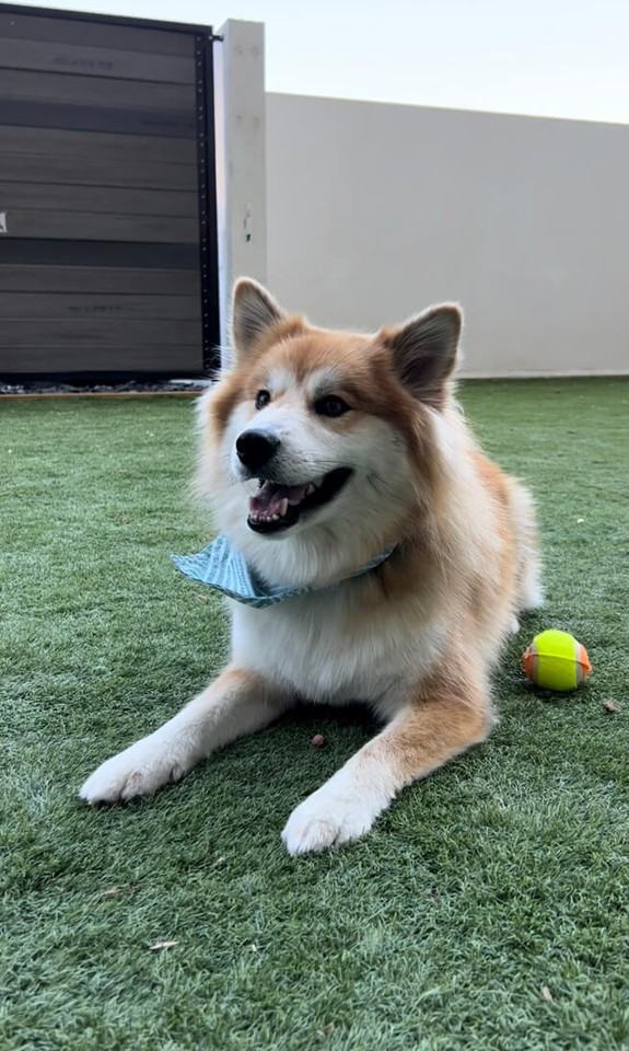 Smith Street Lofts - Photo 7 of 50