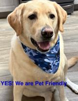 Fairview Village Apartments professionally managed by Grindstone Property Management LLC - Photo 1 of 1