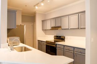 45 Sycamore Ave #522 - Photo 1 of 1