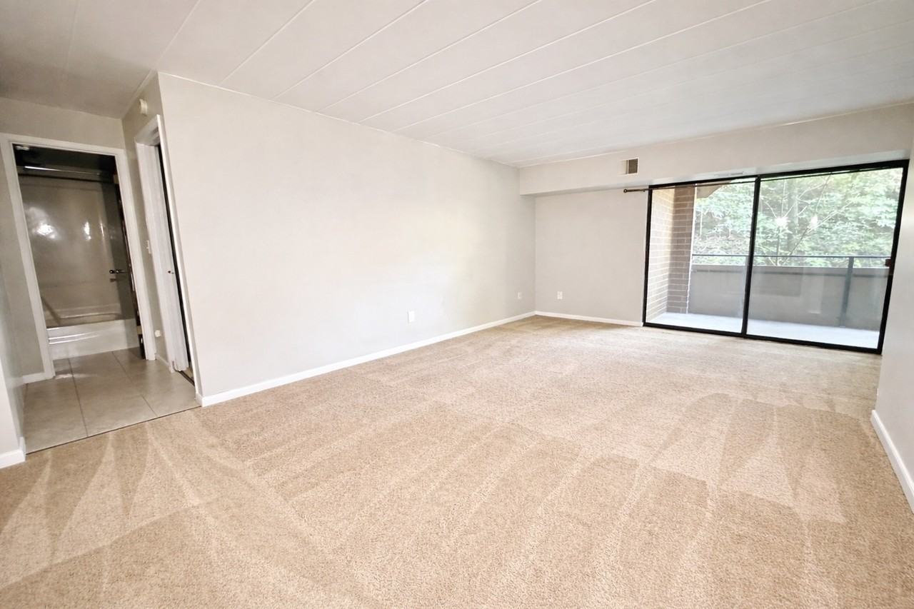 312C Mcknight Cir #C312 - Photo 4 of 12