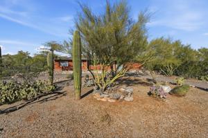 featured image of 2235 E Camino El Ganado