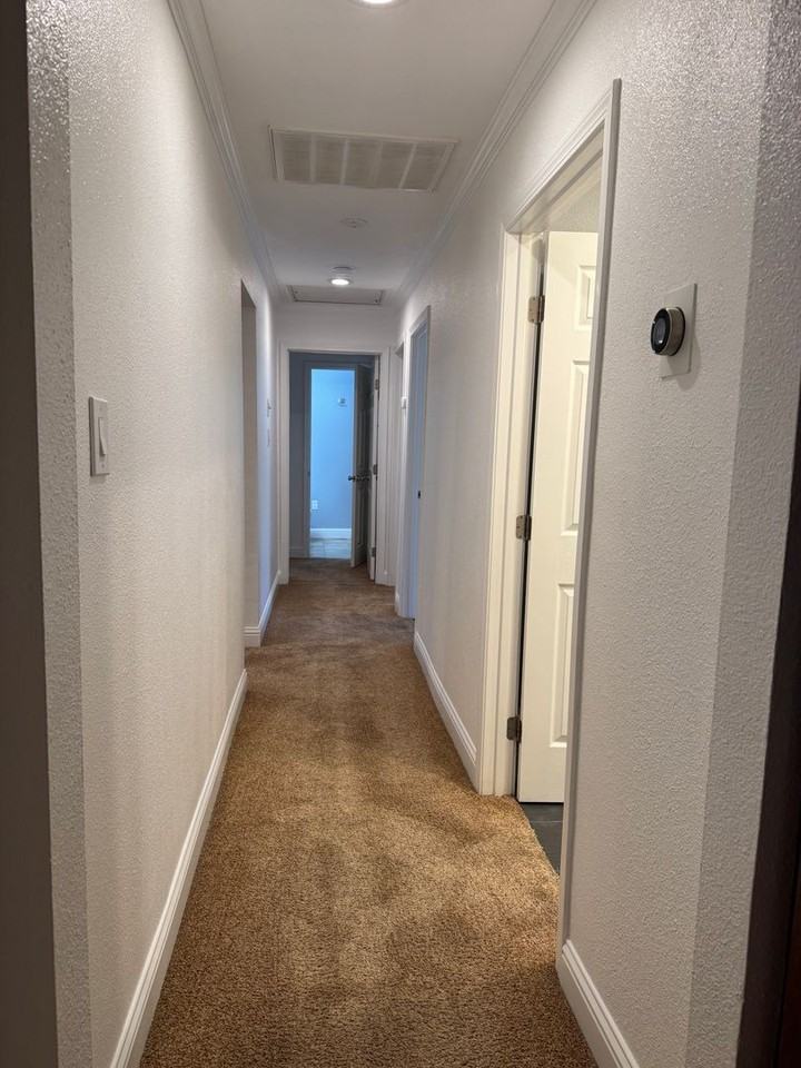 304 Livoti Ave - Photo 7 of 22