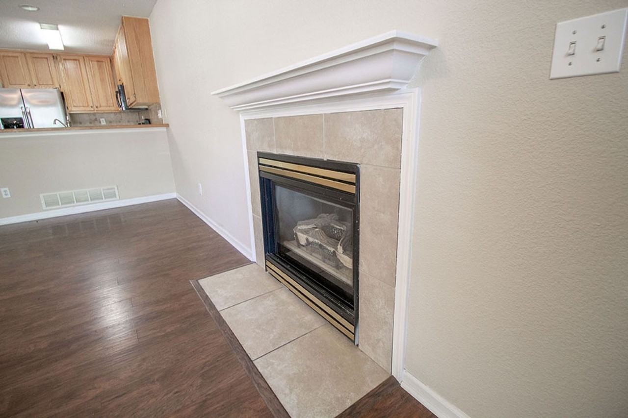 1329 Valley Creek Ln - Photo 5 of 48