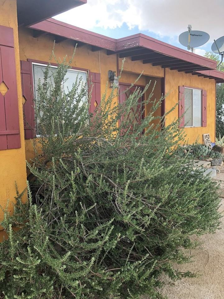 8680 Star Ln - Photo 3 of 17