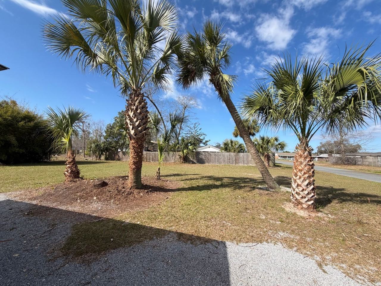 1002 Indiana Ave - Photo 5 of 27