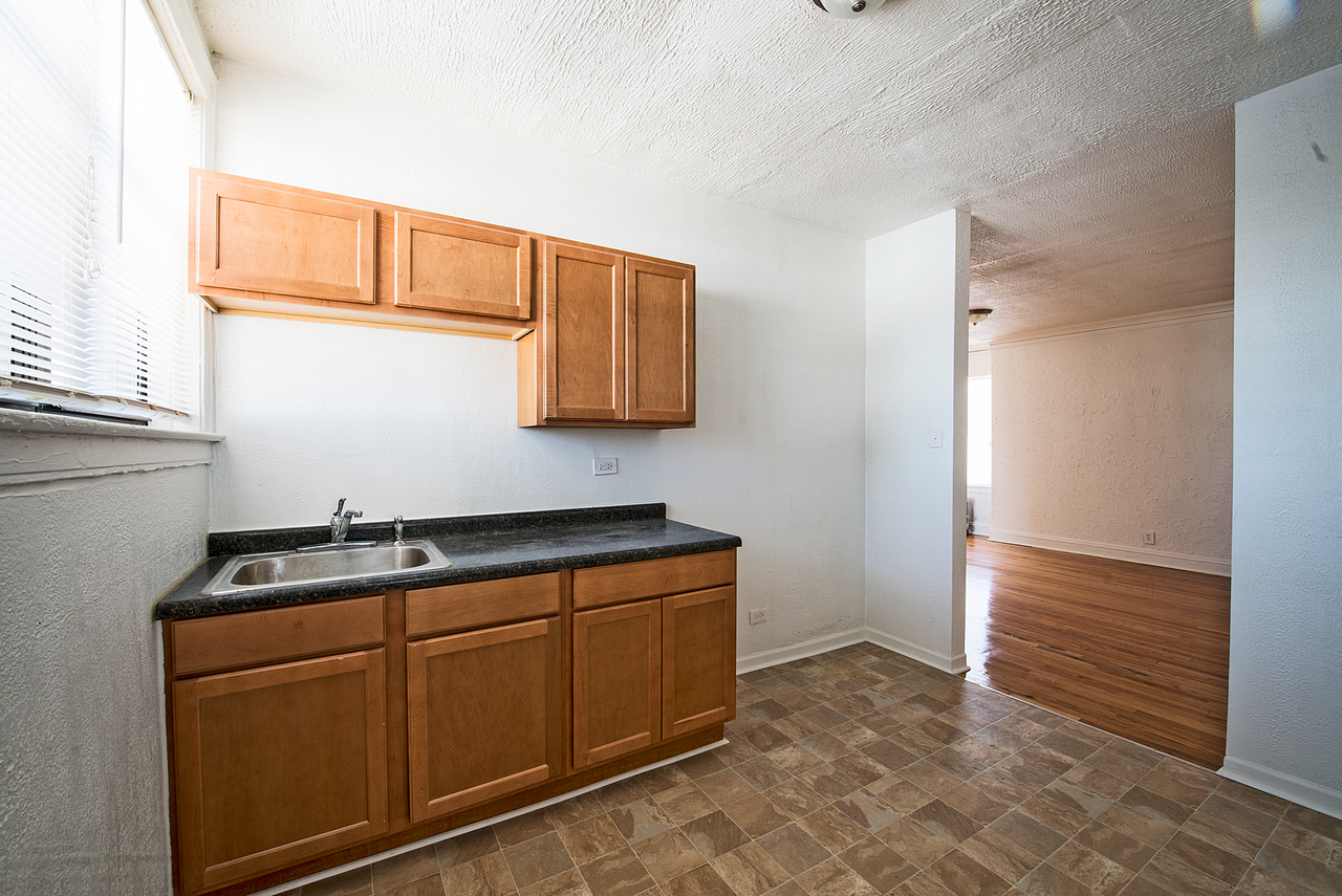 8951 S Ada St Chicago, IL 60620 - Photo 2 of 18