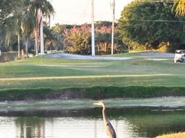 featured image of 5855 Northpointe Ln #5855