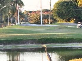 5855 Northpointe Ln #5855 - Photo 1 of 1