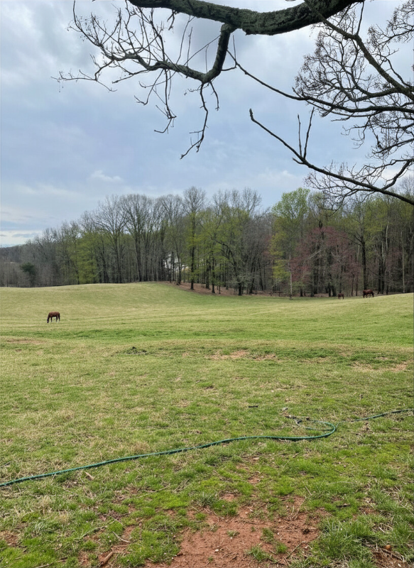 4339 Tanners Mill Rd #2 - Photo 5 of 6