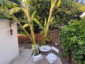 4773 Sierra St - Photo 1 of 1