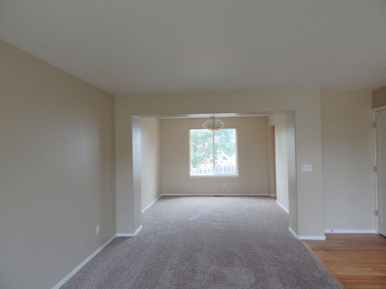 203 Cleopatra St - Photo 3 of 20