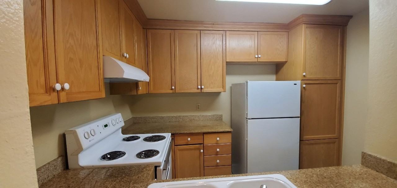 1333 N Camino Alto - Photo 7 of 14