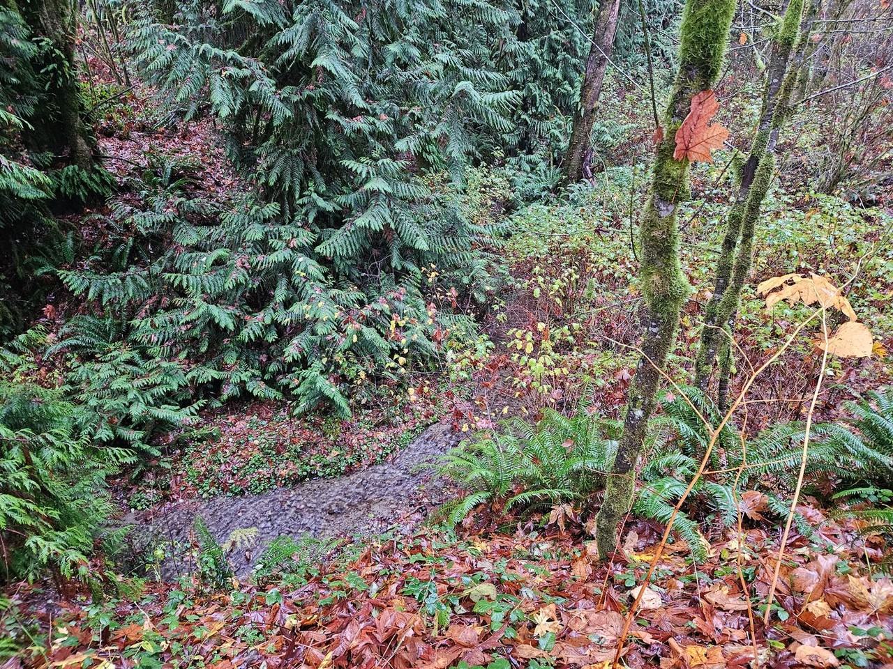 4129B W Pleasant St - Photo 6 of 13