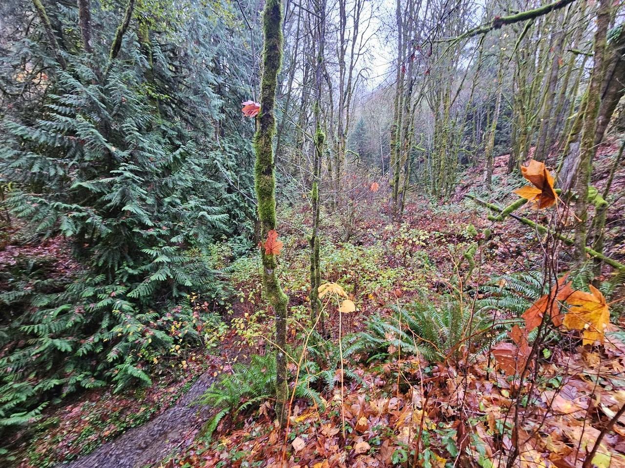 4129B W Pleasant St - Photo 7 of 13