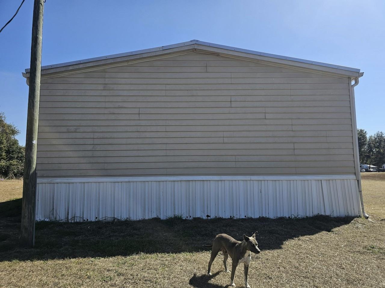 5531 Northwest 165th Street - Photo 4 of 21