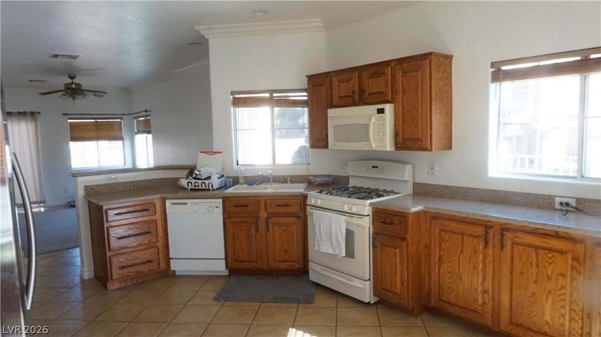 10624 Caldera Canyon Ct - Photo 2 of 18