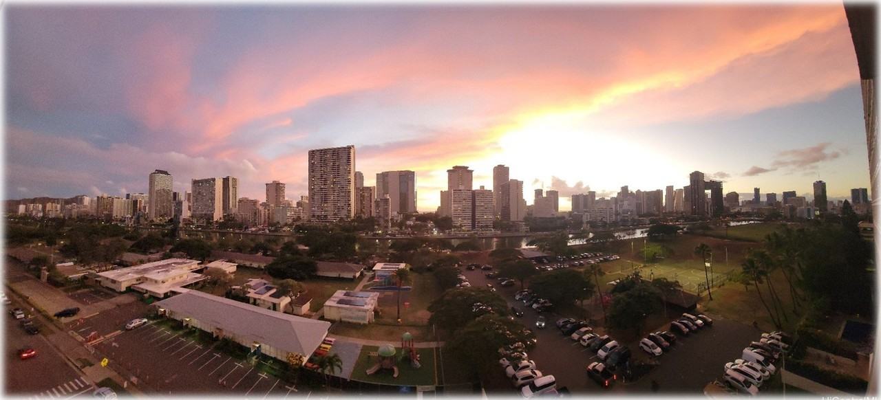 509 University Ave Apt 1004