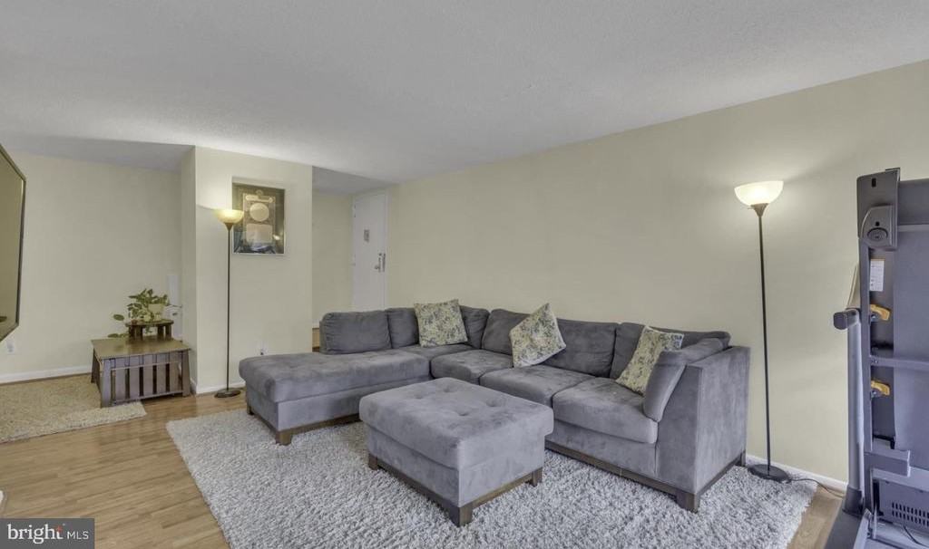 11232 Chestnut Grove Sq ##335 - Photo 3 of 22